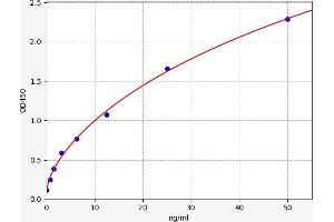 Typical standard curve (C-JUN ELISA Kit)