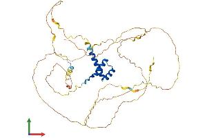 Protein Structure (PS) image for Homeobox B3 (HOXB3) (AA 1-431) protein (His tag) (ABIN7548453)