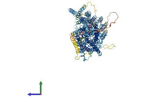 Protein Structure (PS) image for Phosphatidylinositol Glycan Anchor Biosynthesis, Class O (PIGO) (AA 1-1093) protein (His tag) (ABIN7565102)