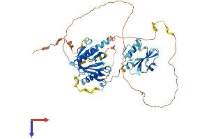 SHC3 Protein (AA 1-474) (His tag)