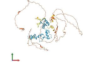 AlphaFold protein structure predicition of Human Recombinant ZIC3 Protein, UniprotID O60481 (ZIC3 Protein (AA 1-467) (His tag))