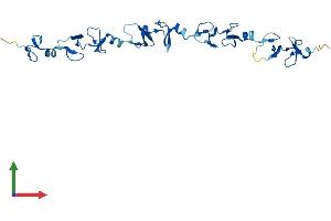 Protein Structure (PS) image for Four and A Half LIM Domains 5 (FHL5) (AA 1-284) protein (His tag) (ABIN7556254)