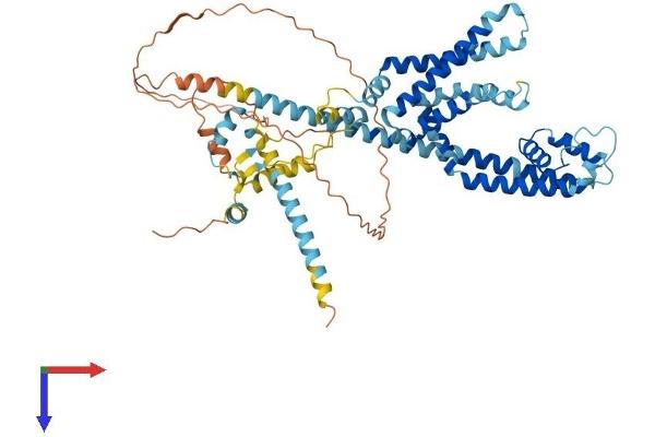 CATSPER2 Protein (AA 1-588) (His tag)
