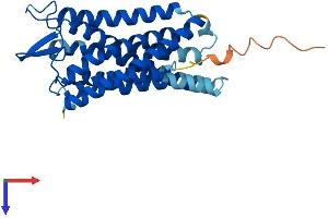 FFAR1 Protein (AA 1-300) (His tag)