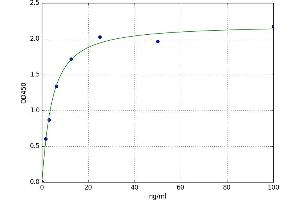 CD3 epsilon (CD3E) ELISA Kit