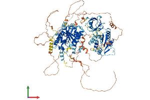 Protein Structure (PS) image for PITPNM Family Member 3 (PITPNM3) (AA 1-974) protein (His tag) (ABIN7563719)