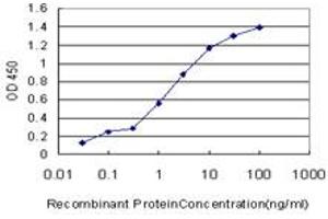 Detection limit for recombinant GST tagged PRKG1 is approximately 0. (PRKG1 Antikörper  (AA 73-170))