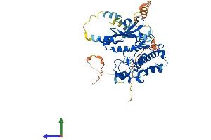 AlphaFold protein structure predicition of Human Recombinant STK32C Protein, UniprotID Q86UX6 (STK32C Protein (AA 1-486) (His tag))