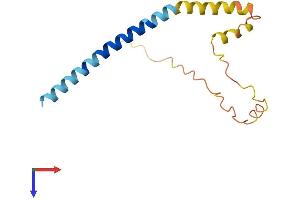beta Synuclein Protein (AA 1-133) (His tag)