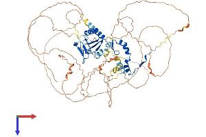 DBF4 Protein (AA 1-674) (His tag)