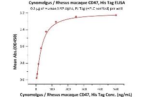 ELISA image for CD47 (CD47) (AA 19-141) (Active) protein (His tag) (ABIN5674615)