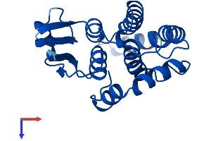 HPGDS Protein (AA 1-199) (His tag)