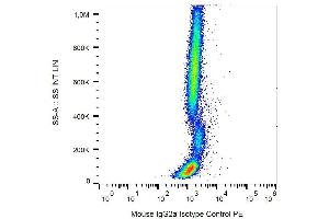 Example of nonspecific mouse IgG2a PE signal on human peripheral blood (Maus IgG2a isotype control (PE))