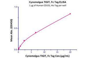 Immobilized Human CD155, His Tag (Cat# CD5-H5223) at 10 μg/mL (100 μl/well) can bind Cynomolgus TIGIT, Fc Tag (Cat# TIT-C5254) with a linear range of 0. (TIGIT Protein (AA 89-208) (Fc Tag))