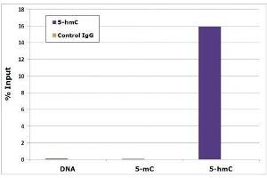 5-Hydroxymethylcytidine antibody tested by Methyl DNA immunoprecipitation. (5-Hydroxymethylcytosine Antikörper)