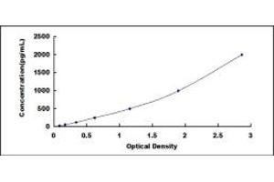 SCARB1 ELISA Kit