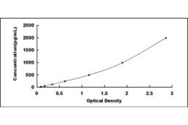 SCARB1 ELISA Kit