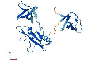 Protein Structure (PS) image for Growth Factor Receptor-Bound Protein 2 (GRB2) (AA 1-217) protein (His tag) (ABIN7548086)