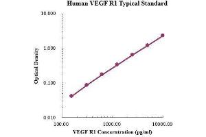 Fms-Related tyrosine Kinase 1 (VEGFR1) (FLT1) ELISA Kit