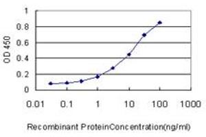Detection limit for recombinant GST tagged IRX5 is approximately 0. (IRX5 Antikörper  (AA 204-264))