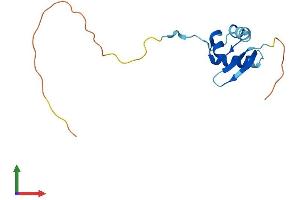 Protein Structure (PS) image for Ribosomal Protein S25 (RPS25) (AA 1-125) protein (His tag) (ABIN7556620)