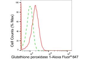 Flow cytometric analysis of glutathione peroxidase 1 expression in HT- cells using glutathione peroxidase 1 antibody (ABIN7798751), 1:2,000). (Rekombinanter Glutathione Peroxidase 1 Antikörper)