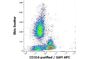 Flow cytometry surface staining pattern of human peripheral whole blood stained using anti-human CD316 (8A12) purified antibody (concentration in sample 5 μg/mL, GAM APC). (IGSF8 Antikörper)