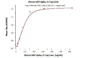 ELISA image for Signal-Regulatory Protein alpha (SIRPA) (AA 32-373) protein (Fc Tag) (ABIN6253543)