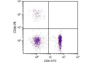 Chicken peripheral blood lymphocytes were stained with Mouse Anti-Chicken CD8β-PE. (CD8B Antikörper)