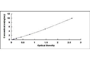 Typical standard curve (RHOA ELISA Kit)