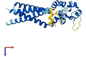 TSPAN1 Protein (AA 1-240) (His tag)