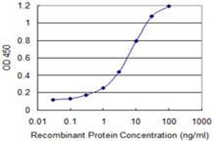 Detection limit for recombinant GST tagged EXOSC4 is 0. (EXOSC4 Antikörper  (AA 1-100))