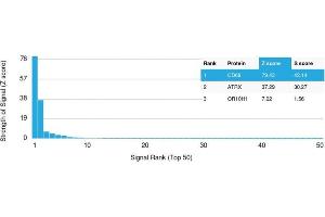Analysis of Protein Array containing more than 19,000 full-length human proteins using CD68 Mouse Monoclonal Antibody (LAMP4/1830) Z- and S- Score: The Z-score represents the strength of a signal that a monoclonal antibody (MAb) (in combination with a fluorescently-tagged anti-IgG secondary antibody) produces when binding to a particular protein on the HuProtTM array. (CD68 Antikörper  (AA 150-301))