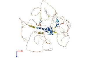 PHC2 Protein (AA 1-850) (His tag)