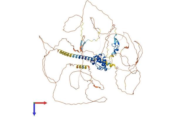 PHC2 Protein (AA 1-850) (His tag)
