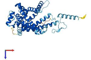 SLC25A43 Protein (AA 1-341) (His tag)
