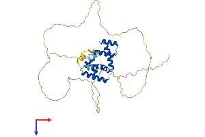 POU3F4 Protein (AA 1-361) (His tag)