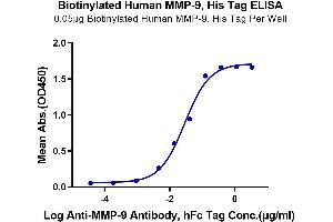 ELISA image for Matrix Metallopeptidase 9 (Gelatinase B, 92kDa Gelatinase, 92kDa Type IV Collagenase) (MMP9) (AA 20-707) protein (His-Avi Tag,Biotin) (ABIN7275271)