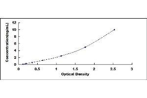 Typical standard curve (MMP25 ELISA Kit)