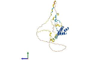 AlphaFold protein structure predicition of Human Recombinant TLX2 Protein, UniprotID O43763