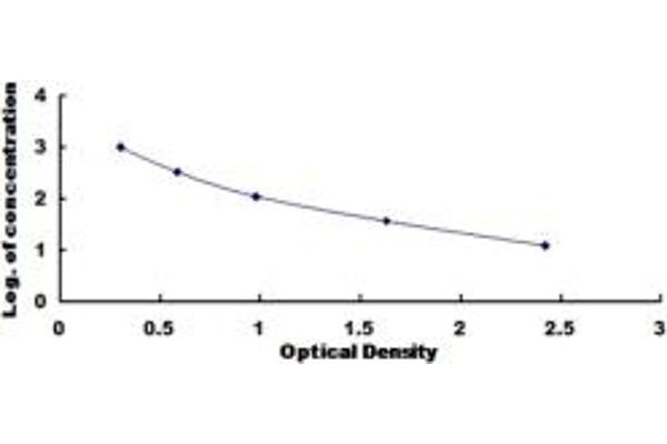 CCK8 ELISA Kit