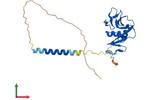 Protein Structure (PS) image for C-Type Lectin Domain Family 2, Member I (CLEC2I) (AA 1-217) protein (His tag) (ABIN7556320)