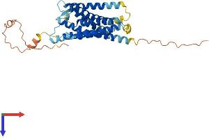 DARC Protein (AA 1-336) (His tag)