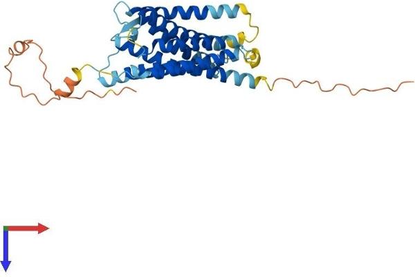 DARC Protein (AA 1-336) (His tag)