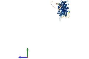 Protein Structure (PS) image for Exocyst Complex Component 7 (EXOC7) (AA 1-697) protein (His tag) (ABIN7562292)