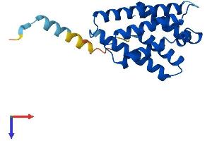 TNFAIP8L2 Protein (AA 1-184) (His tag)