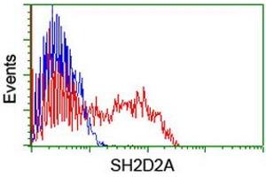 HEK293T cells transfected with either RC204162 overexpress plasmid (Red) or empty vector control plasmid (Blue) were immunostained by anti-SH2D2A antibody (ABIN2455660), and then analyzed by flow cytometry. (SH2D2A Antikörper)