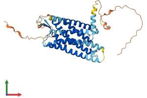 AlphaFold protein structure predicition of Mouse Recombinant Sstr4 Protein, UniprotID P49660