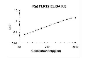 Fibronectin Leucine Rich Transmembrane Protein 2 (FLRT2) ELISA Kit