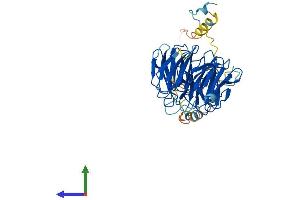 Protein Structure (PS) image for Fizzy/cell Division Cycle 20 Related 1 (FZR1) (AA 1-493) protein (His tag) (ABIN7565188)